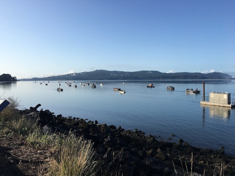 Garibaldi boats